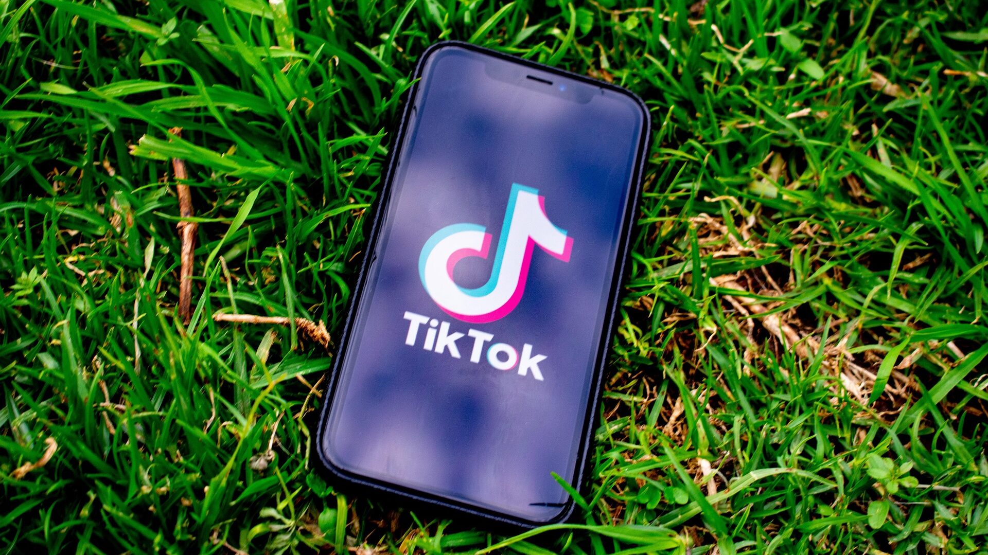 tiktok videos