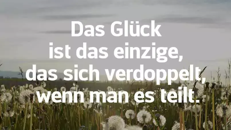zitat
